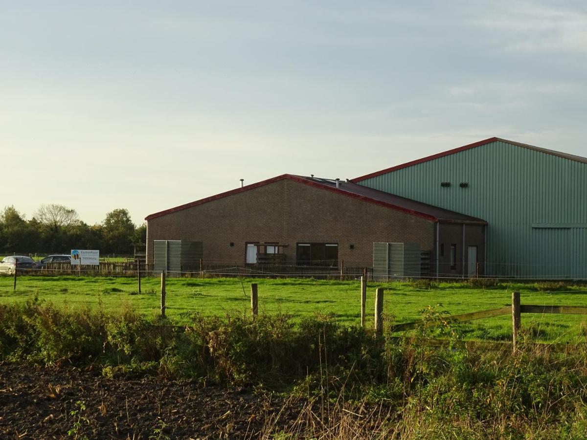 Kustverhuur, Oude Manege Nieuwvliet, Nieuwvliet 3 - 9 エクステリア 写真